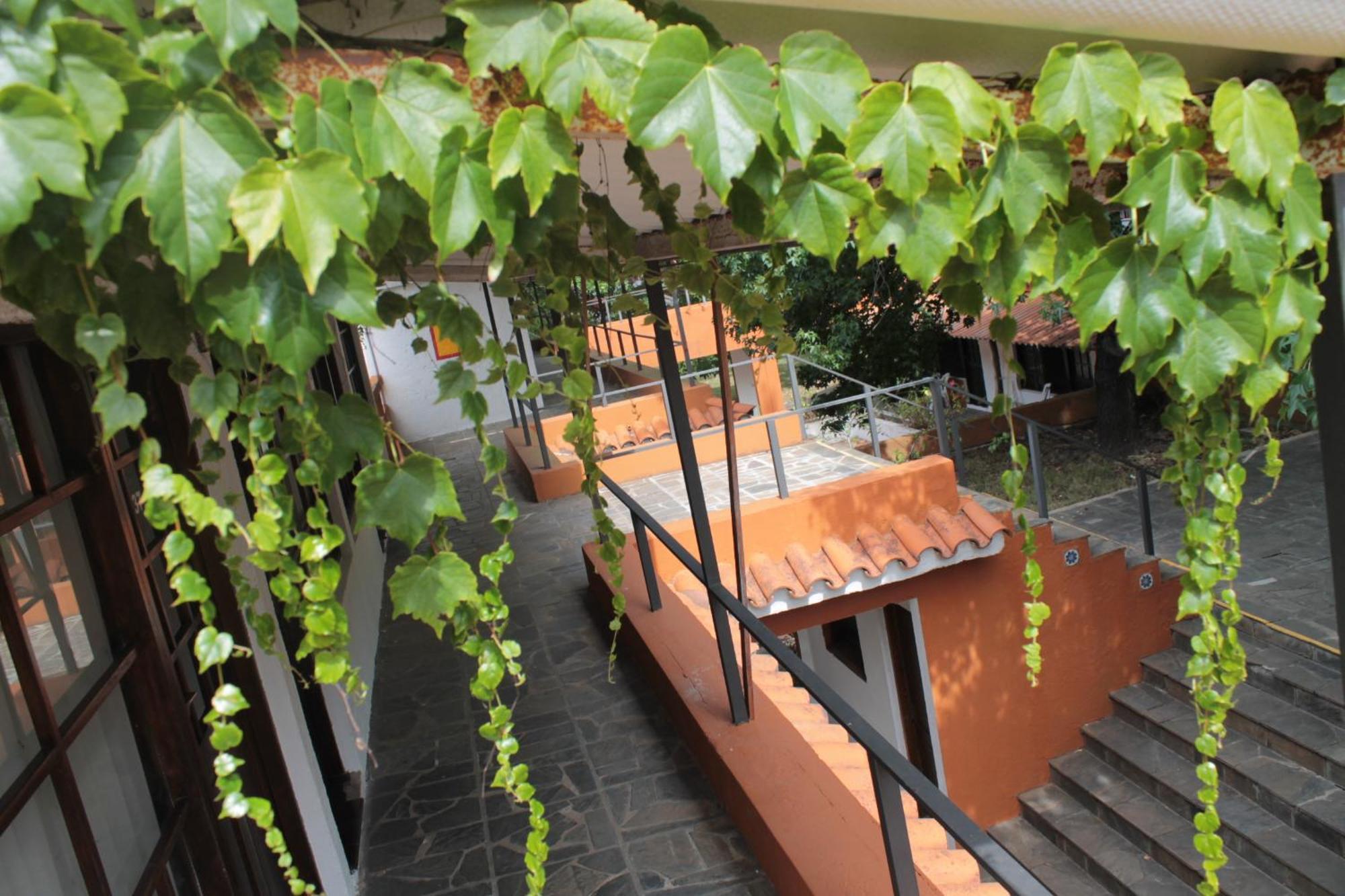 Hotel La Ballena Punta Ballena Εξωτερικό φωτογραφία